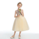 Daffodil Sleeveless V Back Tulle Appliques Flower Girl Dress