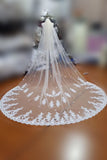 Ivory Lace Appliqued Cathedral Length Tulle Wedding Veil, Bridal Veil
