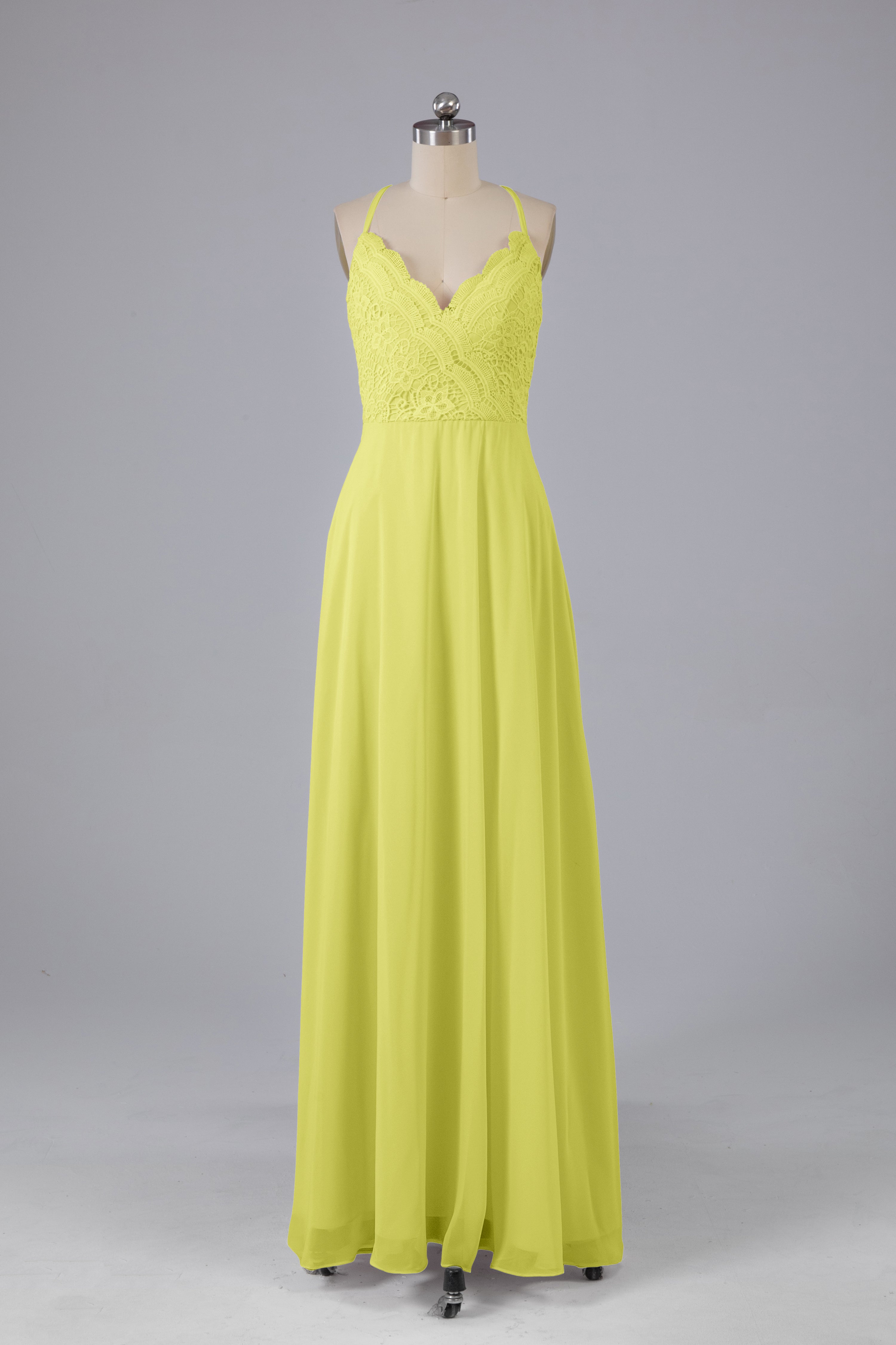 Daffodil