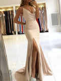 Sexy V-neck Mermaid Long Formal Evening Dresses N340