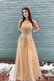 Stylish V-Neck Lace A-Line Evening Dress Appliques Long Prom Dress