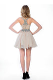 Fleshcolor Chiffon V-Neck Prom/Homecoming Dresses
