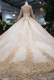 Gorgeous Long Sleeves Palace Wedding Dresses Lace Wedding Dresses with Applique&Beads N1652