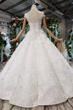 Gorgeous High Neck Ball Gown Sequined Long Big Lace Wedding Dresses