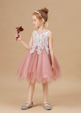 Chic Asymmetrical Sleeveless Applique Tulle Flower Girl Dress