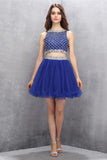 Two Pieces Royal Blue Organza Beaded Homecoming ED75