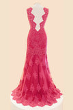 Deep V-Neck Fuchsia Mermaid Long Lace Prom Dresses