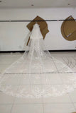 Two Tiers Ivory Lace Appliqued Cathedral Length Tulle Wedding Veil Charming Bridal Veil V038