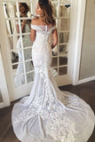 Mermaid Off-the-shoulder Sheer Lace Appliques Beach Wedding Dress N496