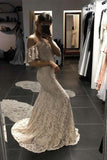 Ivory Mermaid Spaghetti Straps Open Back Lace Prom Dresses Lace Wedding Dresses N1443