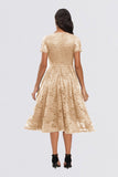 Vintage V-Neck Lace Short Prom Dresses Homecoming Dresses