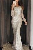 Mermaid Long Tassel Sleeve Sequin Prom Dresses N2325