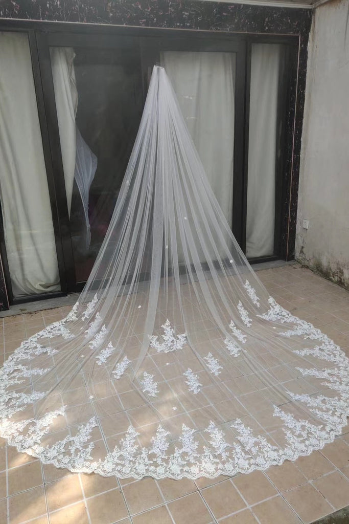 One Layer 3M Long Wedding Veils With Lace Appliques V0051