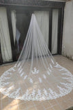 One Layer 3M Long Wedding Veils With Lace Appliques V0051