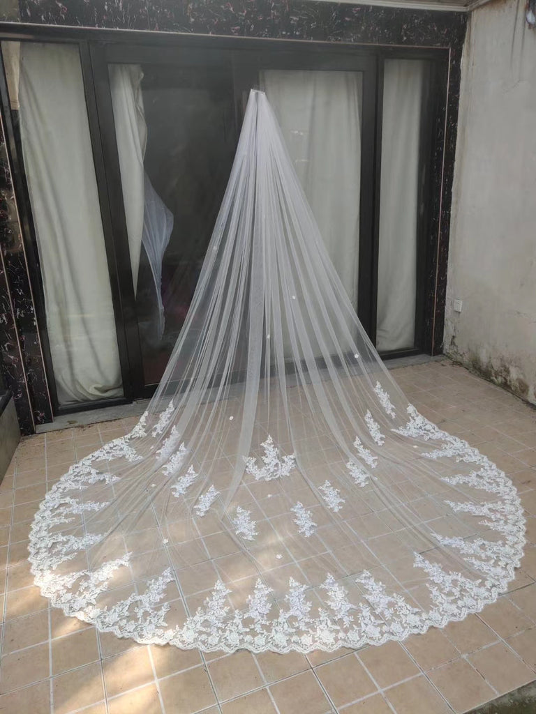 One Layer 3M Long Wedding Veils With Lace Appliques V0051