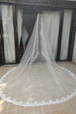 Long 3M Lace Edge Tulle Wedding Veils Bridal Veil V0052