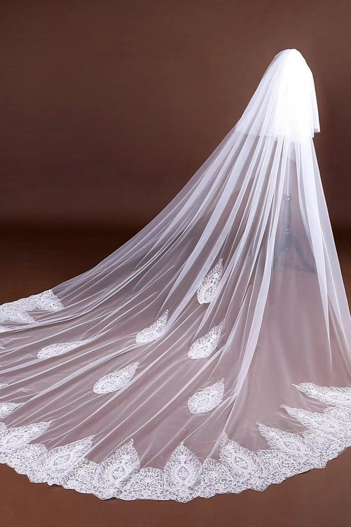 Elegant Long Tulle Wedding Veils With Lace Appliques V0053