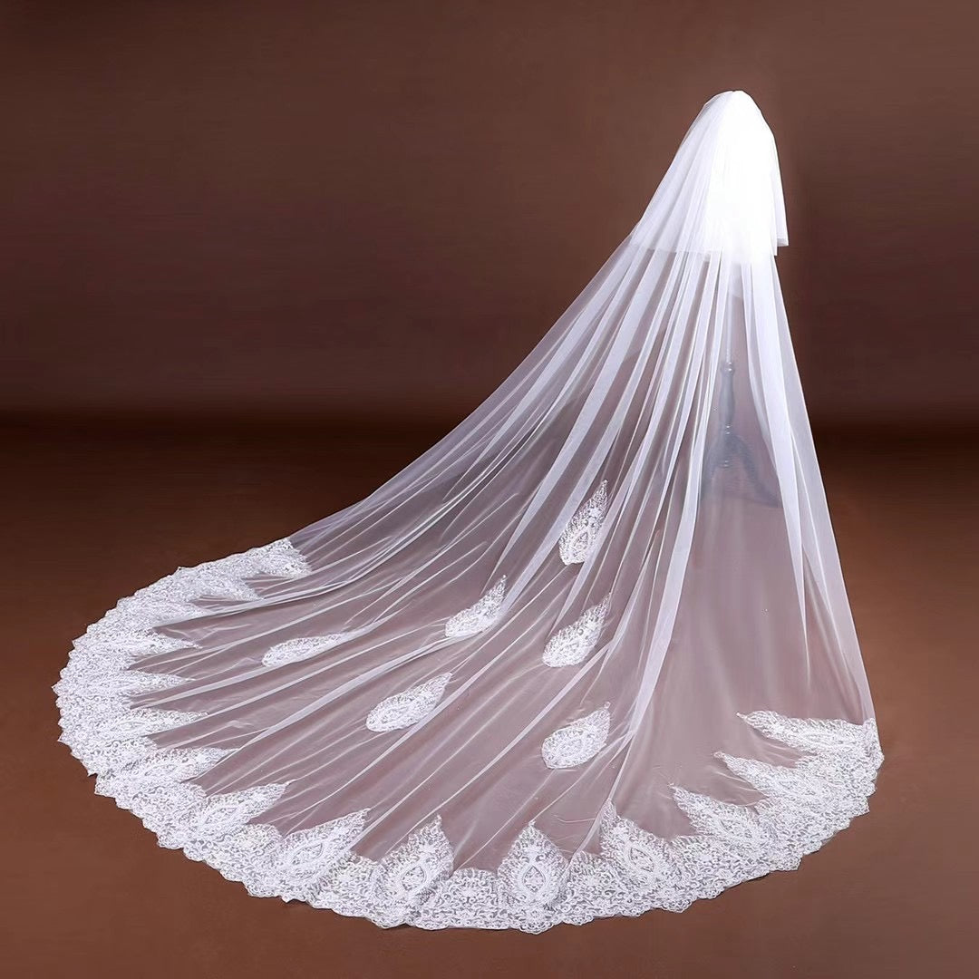 Elegant Long Tulle Wedding Veils With Lace Appliques V0053