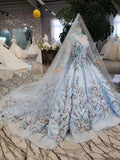 Light Blue Ball Gown Wedding Dresses with Lace Flowers Beading Quinceanera Dresses N1628