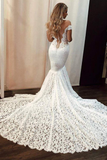 Pretty Off The Shoulder Elegant Sheer Neck Mermaid Long Lace Wedding Dress Y0128