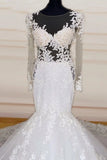 Elegant Long Scoop Neck Mermaid Wedding Dresses With Sleeves Y0168