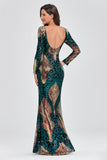 Unique Long Sleeves Mermaid Zipper Back Long Sequin Prom Dress