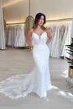 Charming Mermaid V Neck Lace Wedding Dresses N025