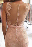 Pink Sleeveless Lace Formal Dresses Mermaid Sheer Back Lace Prom Gown N2029