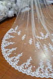 Ivory Lace Appliqued Cathedral Length Tulle Wedding Veil Bridal Veil V032