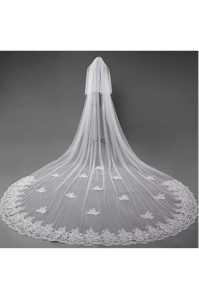 Ivory Lace Appliqued Cathedral Length Tulle Wedding Veil Tulle Bridal Veil V033