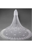 Ivory Lace Appliqued Cathedral Length Tulle Wedding Veil Tulle Bridal Veil V033