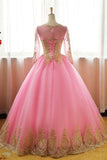 Ball Gown Pink Tulle Prom Dress with Gold Appliques Long Sleeves Quinceanera Dress N1191