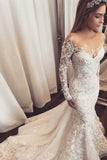 Gorgeous Mermaid Illusion Long Sleeves Tulle Appliques Wedding Dress,Beach Wedding Dress,N307