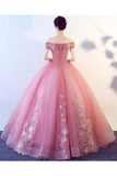 Off-the-Shoulder Appliques Tulle Quinceanera Prom Dresses N1225
