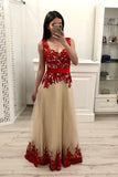A-Line Tulle Prom Dresses with Red Lace Appliques Floor Length Senior Dance Dresses N1523