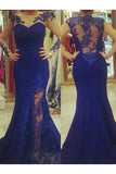 Royal Blue Plus Size Mermaid Prom Dresses with Sheer Sleeves Plus Size Dresses with Lace N2218