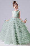 A Line Lace Tulle Princess Flower Girl Gown With Belt