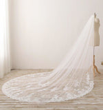 3M Long Lace Appliqued Cathedral Veils for Wedding Romantic Veils V025