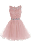 Appliqued Sleeveless Homecoming Dress with Beads,Tulle Homecoming Gown,Short Prom Gown,N273