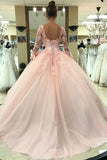 Gorgeous Pink Tulle Long Sleeves Lace Appliques Long Quinceanera Puffy Dresses