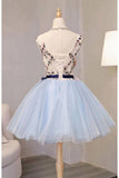 Vintage Light Blue Flower Short Princess Homecoming Dresses