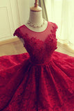 Burgundy A Line Sleeveless Lace Homecoming Dress N1009