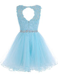 Cute Appliqued Sleeveless Beading Tulle Homecoming Dresses N273