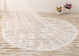 3M Long Lace Appliqued Cathedral Veils for Wedding Romantic Veils V025