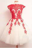 A Line Lace Appliques Short Tulle Homecoming Dresses