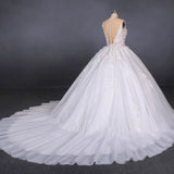 Ball Gown Sheer Neck Sleeveless White Wedding Dresses Lace Appliqued Bridal Dresses N2297