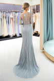 Gorgeous Mermaid Crystal Sweep Train Long Sleeves Beaded Evening Dresses N2281