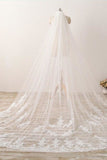 3M Long Lace Appliqued Cathedral Veil for Wedding, Romantic Bridal Veil