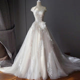 Stunning Off the Shoulder Tulle Wedding Dresses with Lace Applique Bridal Dresses N2522