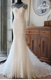 Ivory Long Sleeves Mermaid Lace Appliques Tulle Wedding Dresses with Train N390